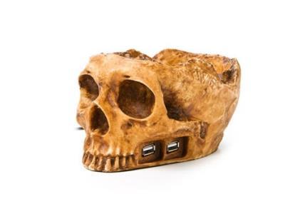 USB Skull Hub